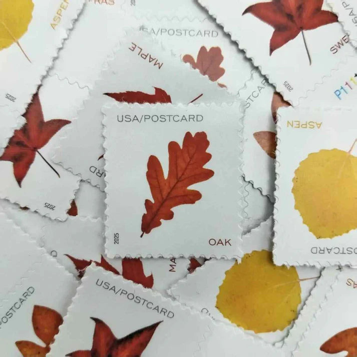 Vibrant Leaves Postcard